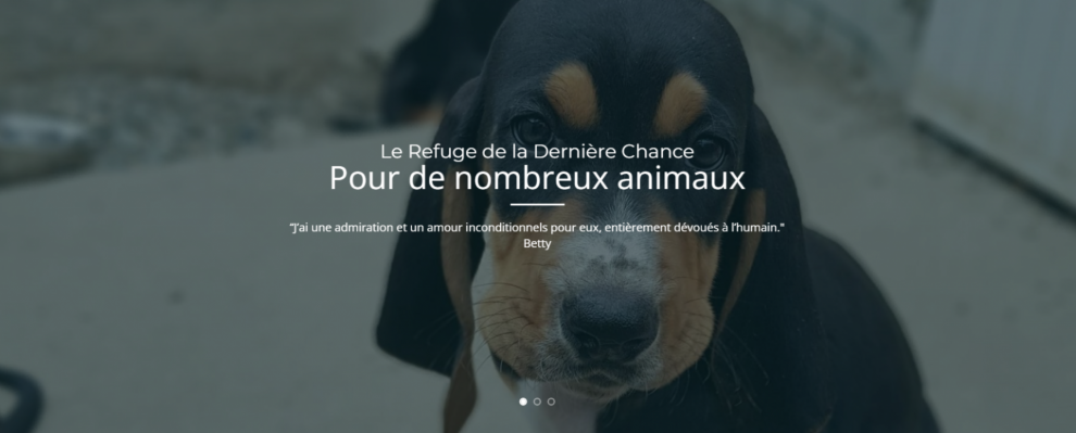 Banniere nouveau site